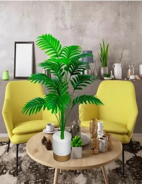 Flor de palmera Belug