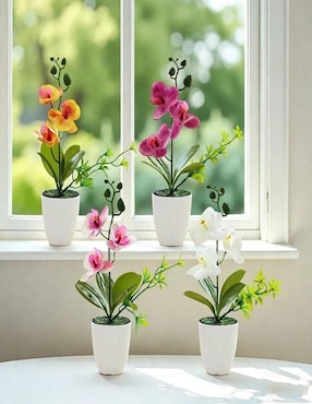 Flor de orquídea Belug