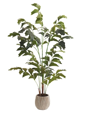 Planta Artego Caryota Fishtail