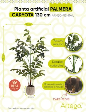 Planta Artego Caryota Fishtail