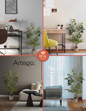Planta Artego Caryota Fishtail