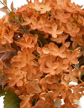 Flor de hortensia Bluebell & Co.