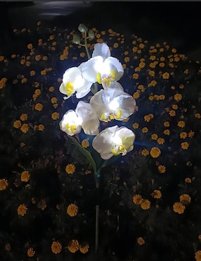 Lámpara led CM-TOP Flor Solar con luces LED para Jardin1 pieza