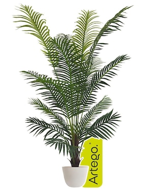 Planta Artego Palm con Maceta