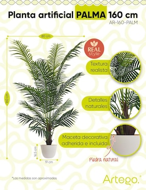 Planta Artego Palm con Maceta