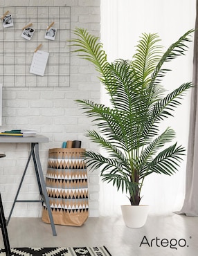 Planta Artego Palm con Maceta