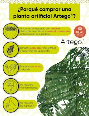 Planta Artego Jacaranda con maceta