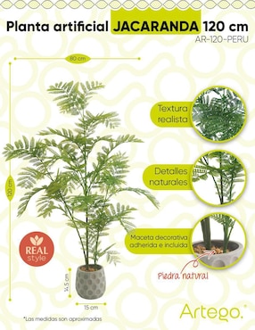 Planta Artego Jacaranda con maceta