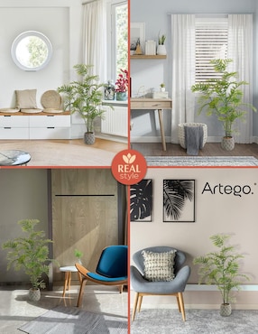 Planta Artego Jacaranda con maceta