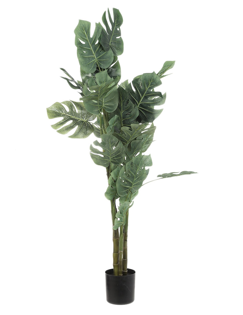 Árbol