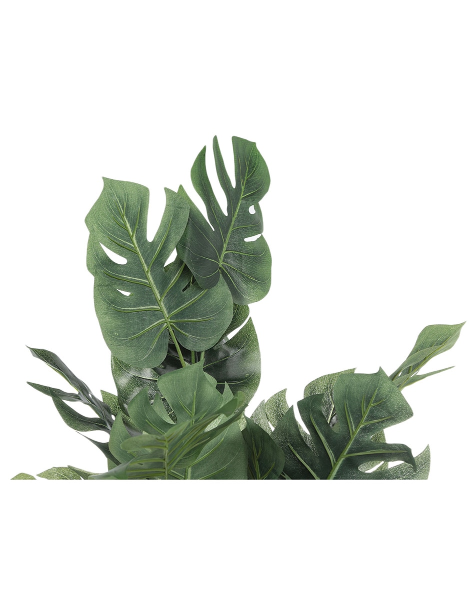 Árbol 2