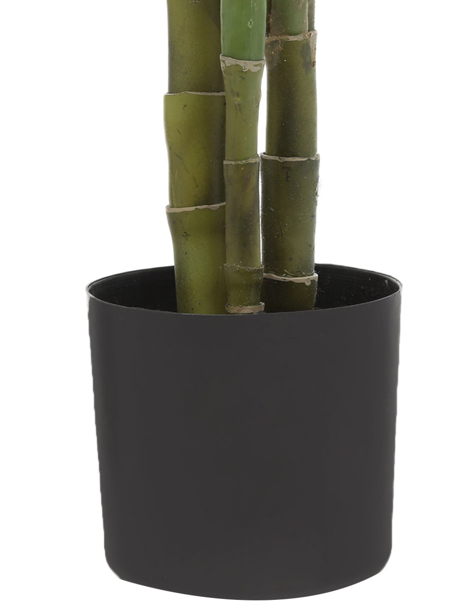 Árbol 4
