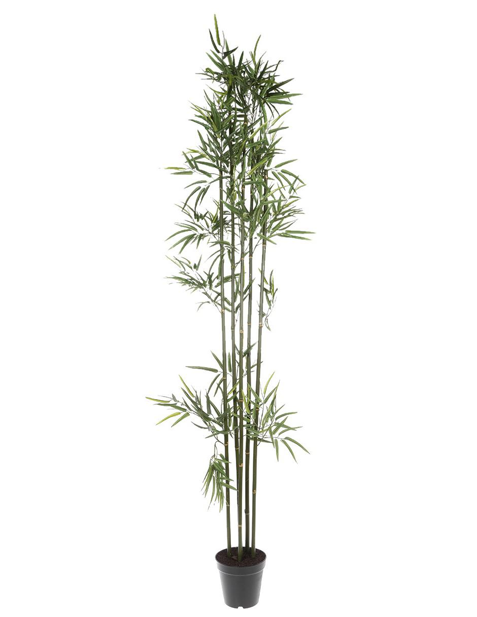 Árbol