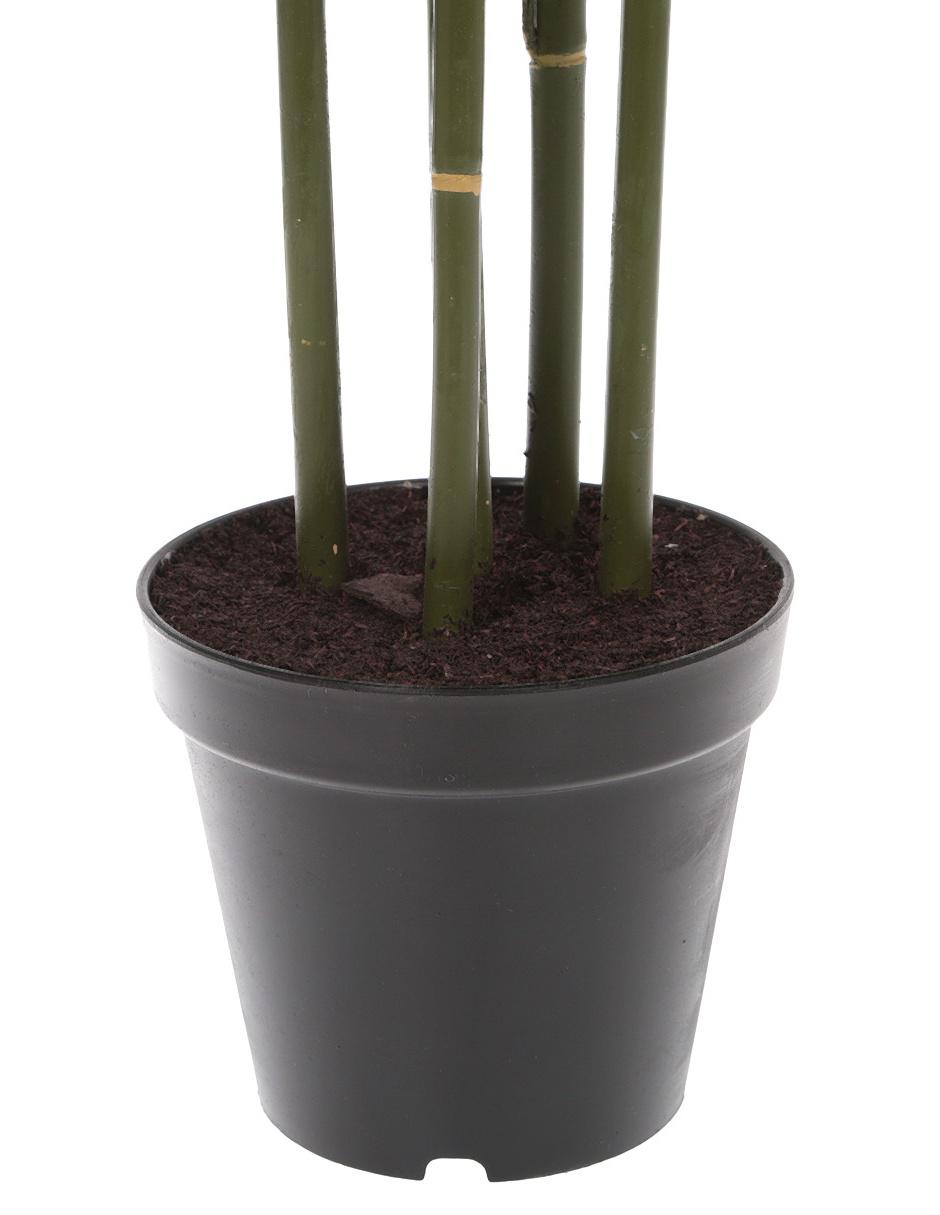 Árbol 2