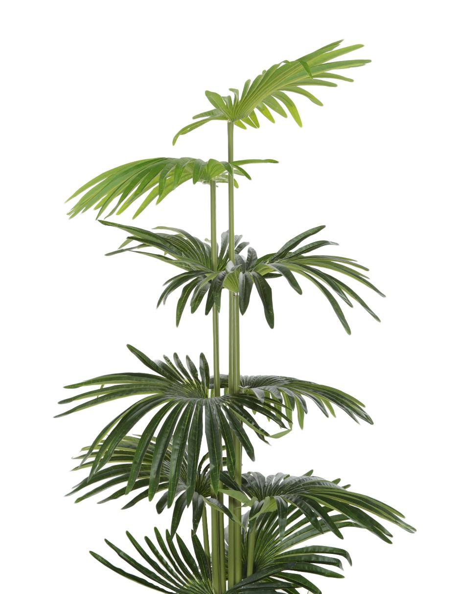 Árbol 2