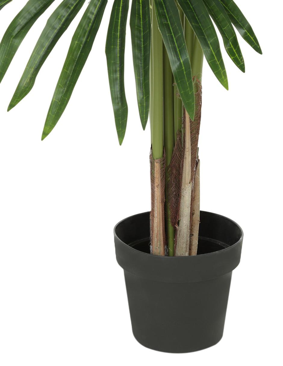 Árbol 3