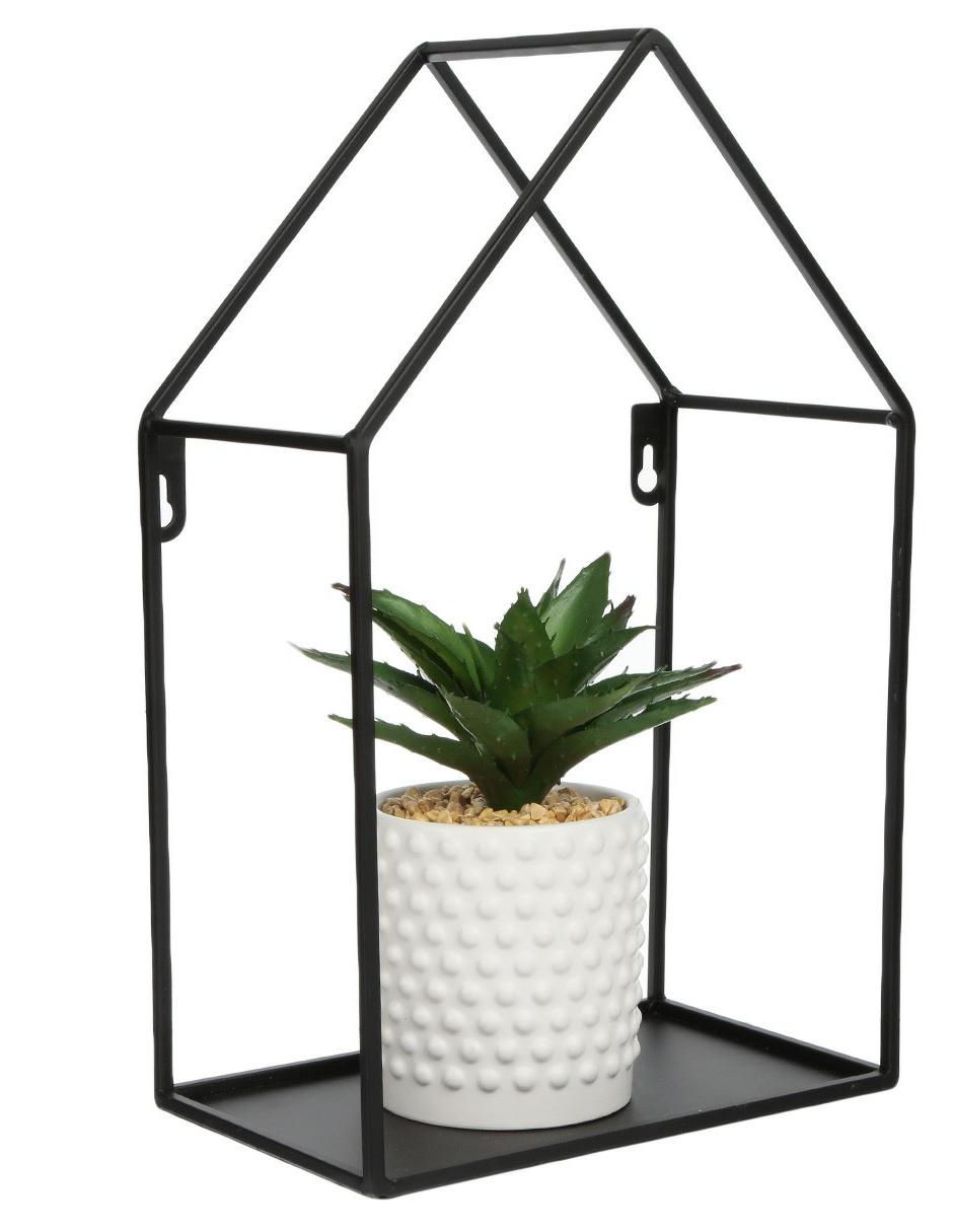 Preelaborado de aloe