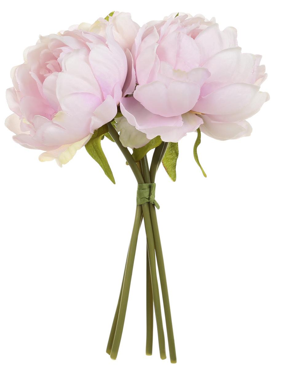 Bouquet de peonias Haus Armonía rosa
