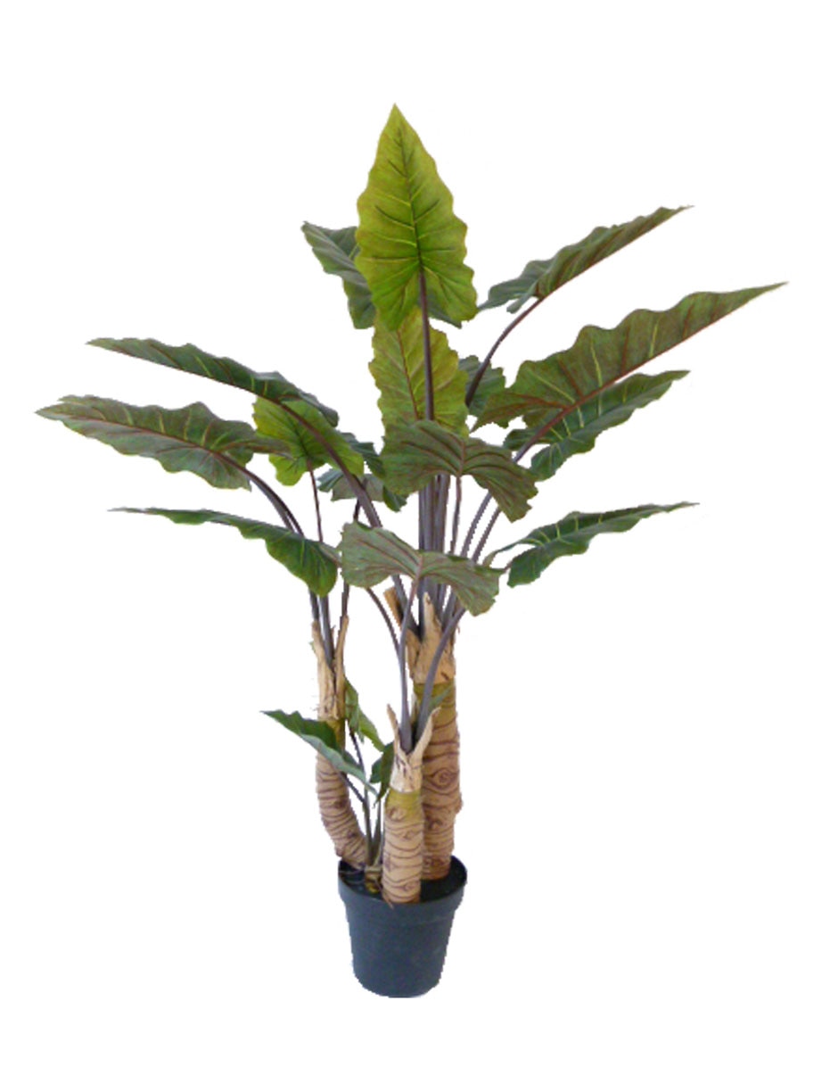 Árbol
