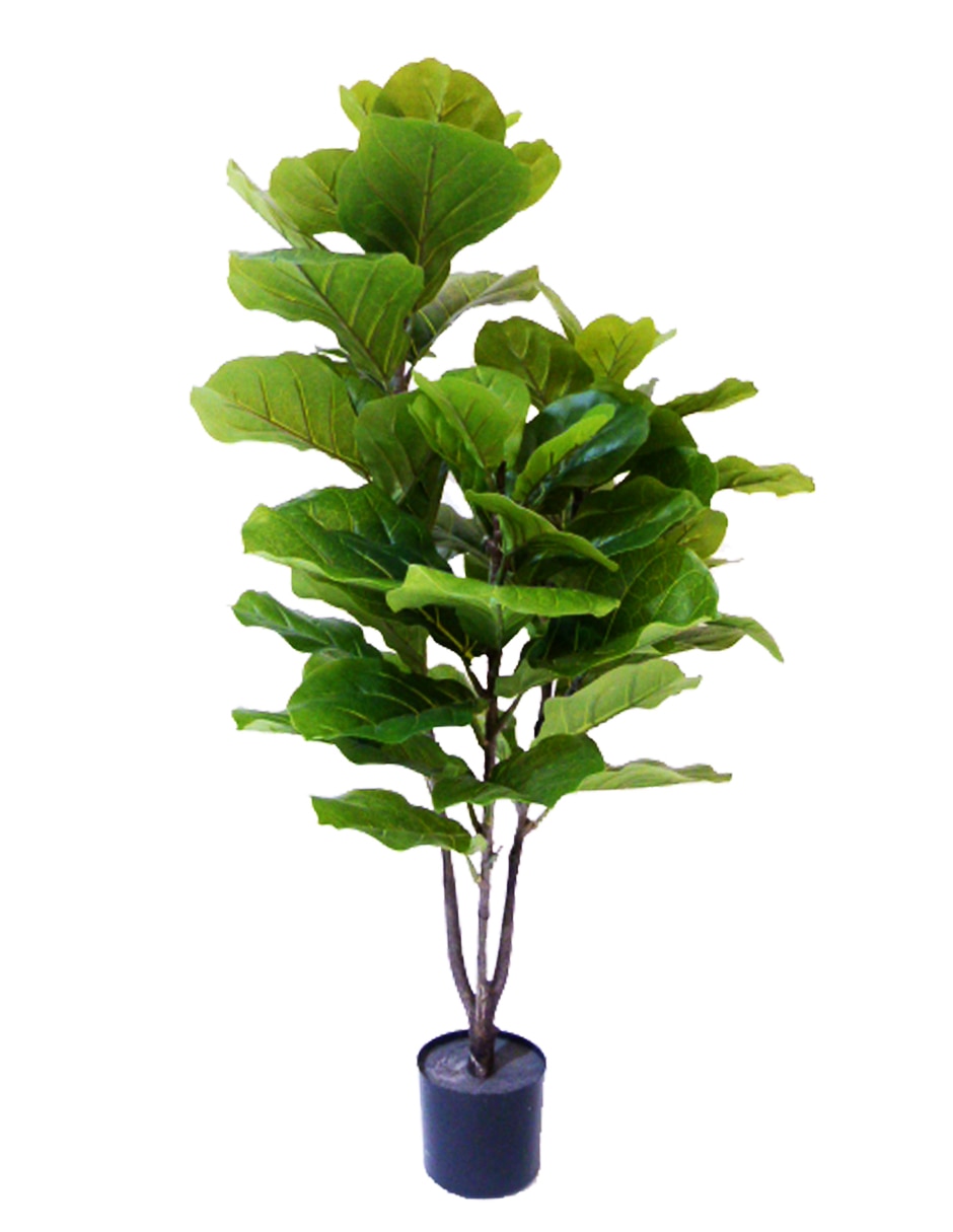 Árbol