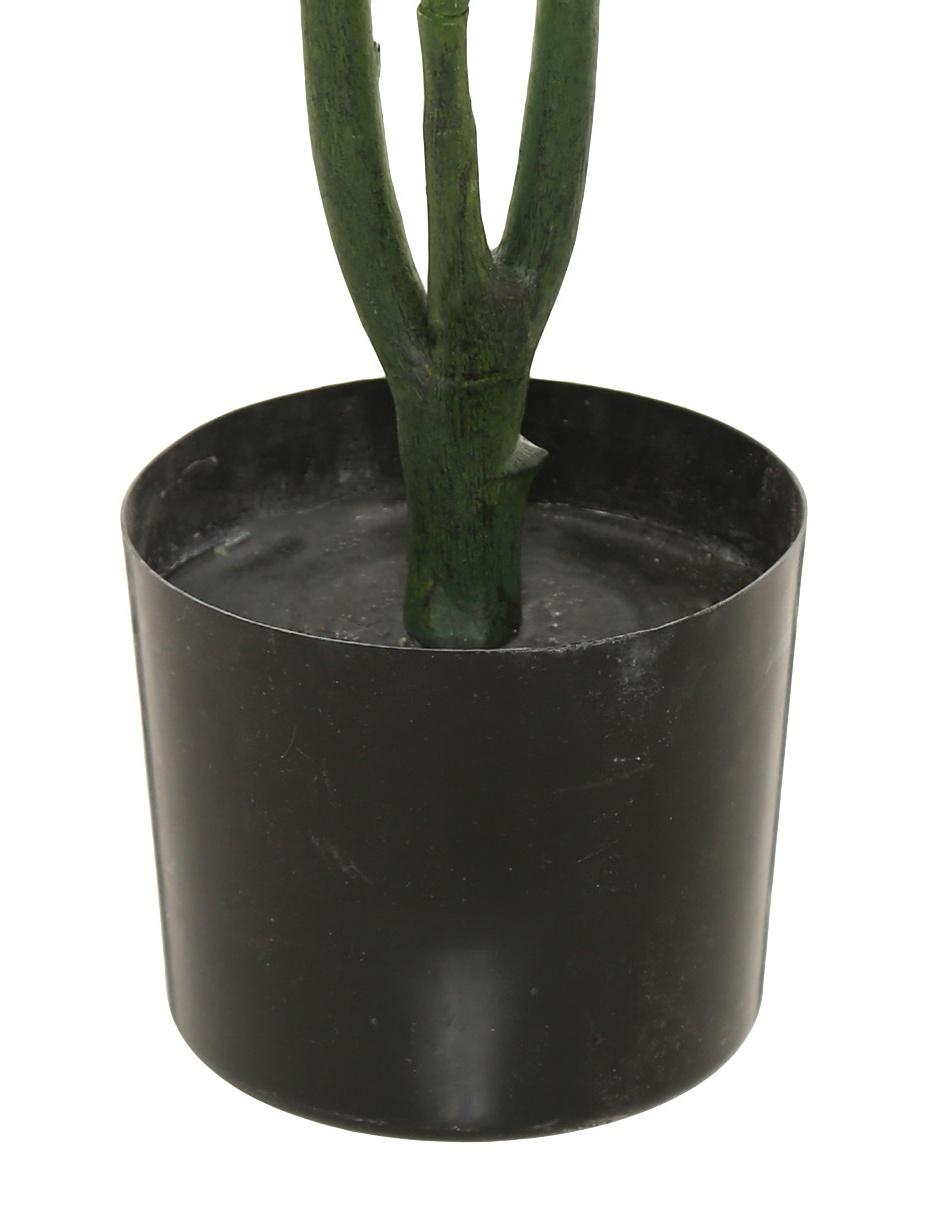 Árbol 3