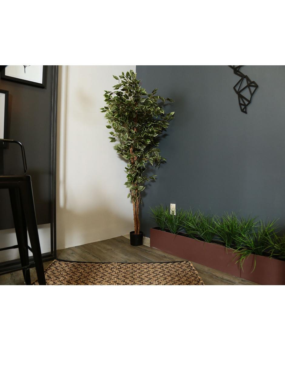 Árbol 5