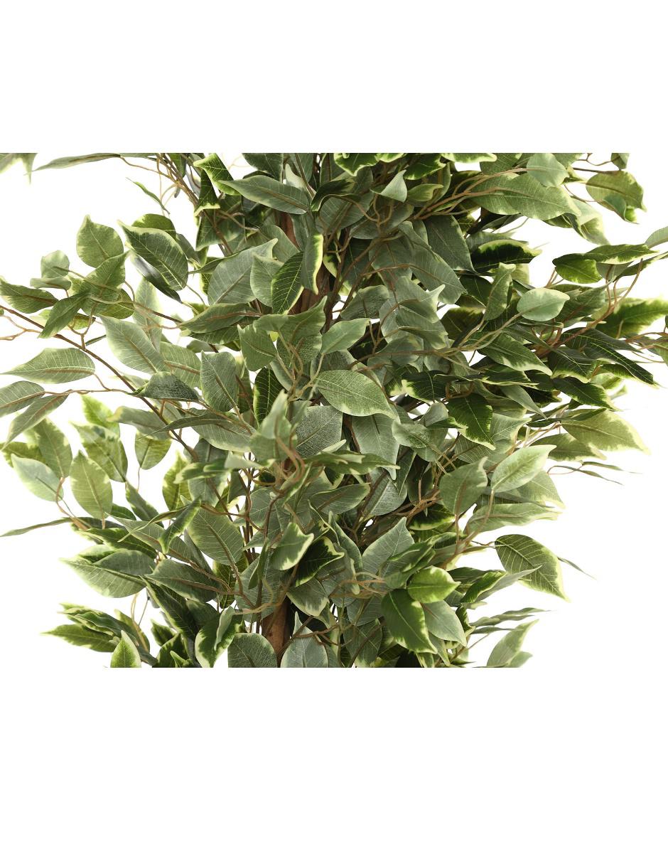 Árbol 2