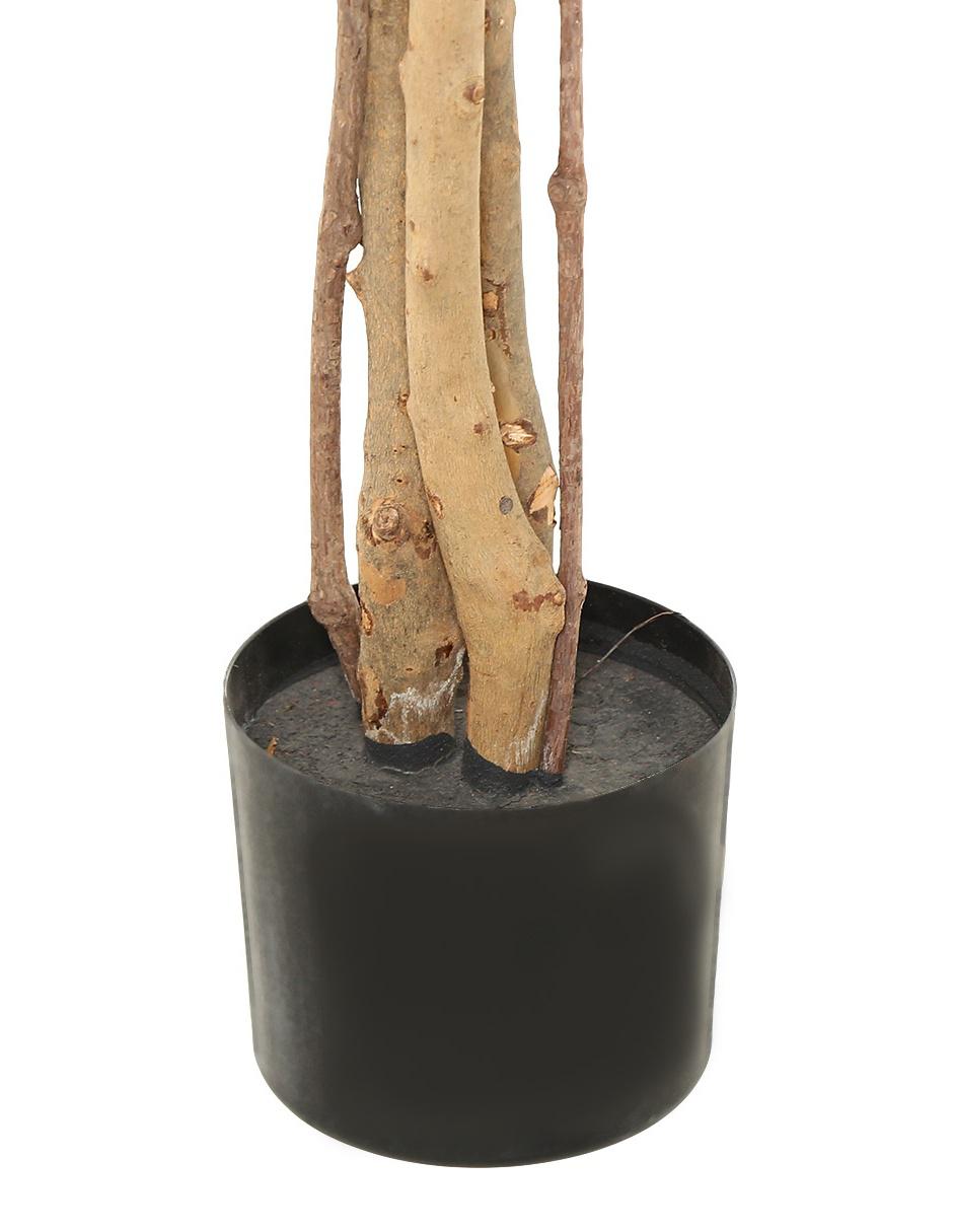 Árbol 3