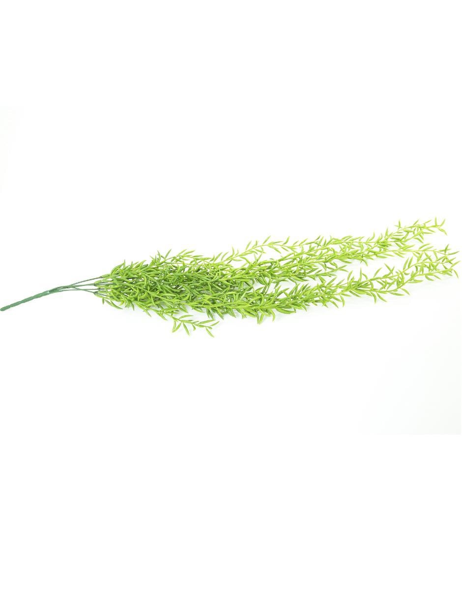 Acacia 2