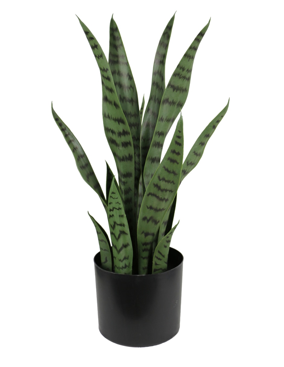 Planta Haus 1