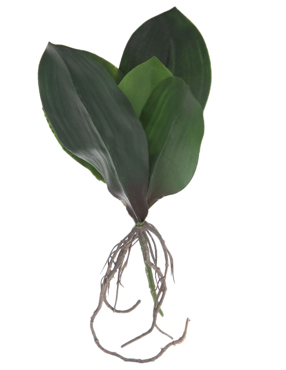 Hojas de orquídea decorativas Marap con acabado mate