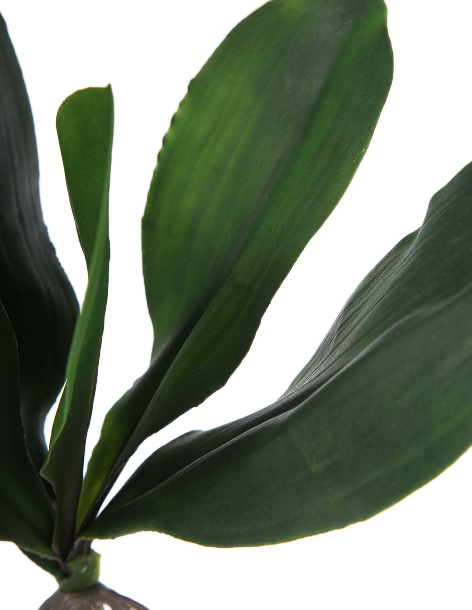 Hojas de orquídea decorativas Marap con acabado mate 2