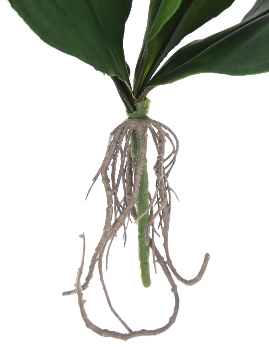 Hojas de orquídea decorativas Marap con acabado mate 3