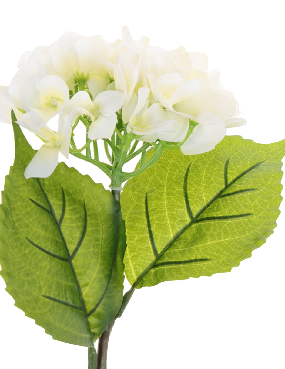 Hortensia Copo 2