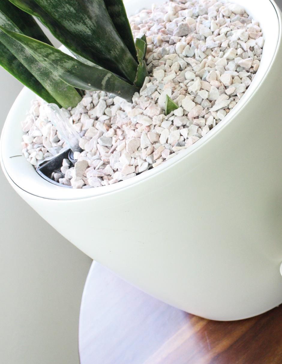 Piedra Smart Garden