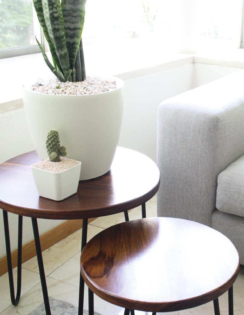 Piedra Smart Garden