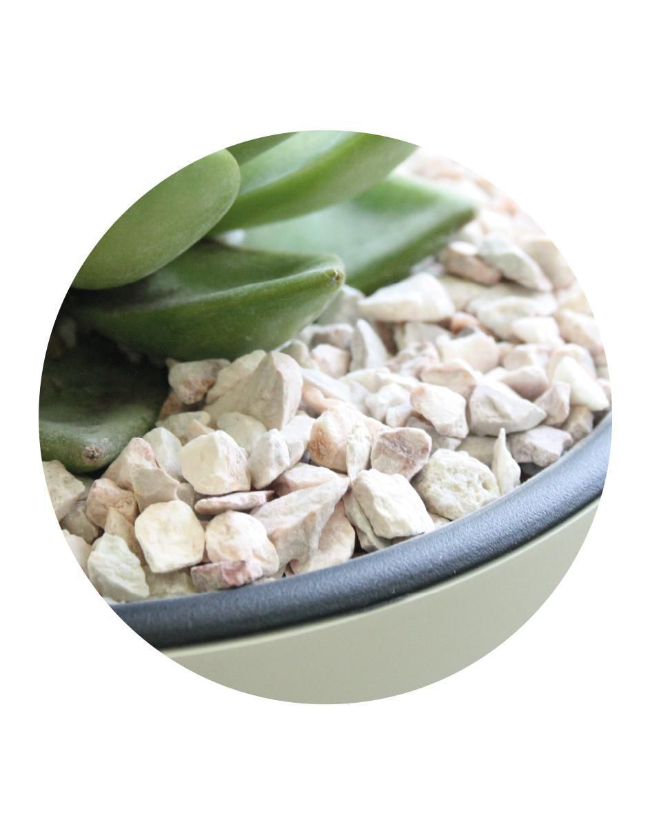 Smart garden sg-stone-m-25