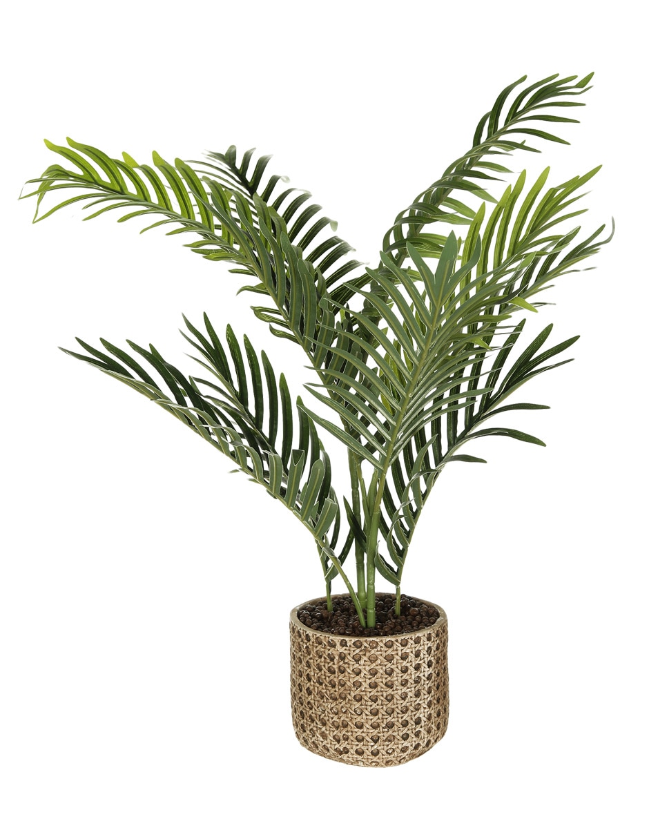 Planta Filo 1