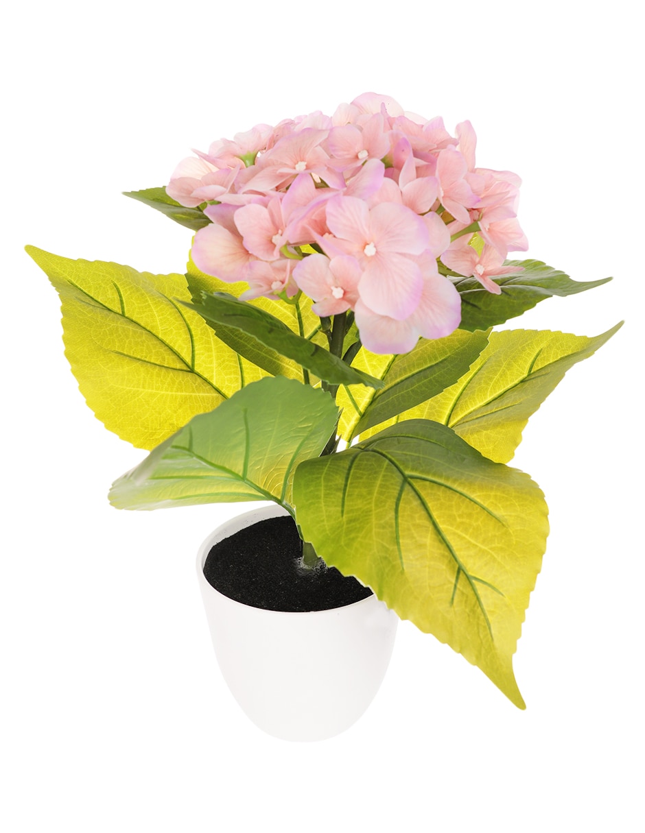 Preelaborado de hortensia 1