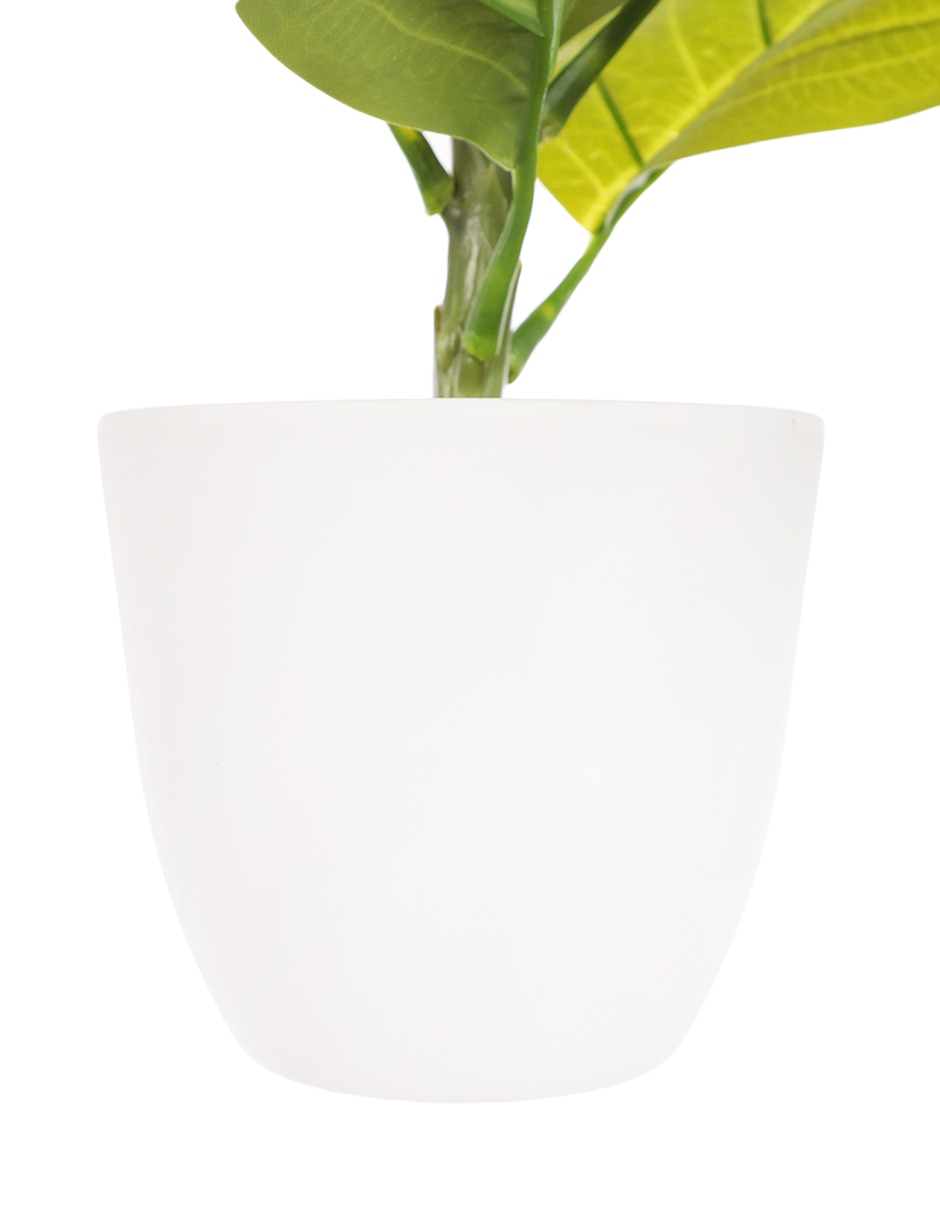 Preelaborado de hortensia 3