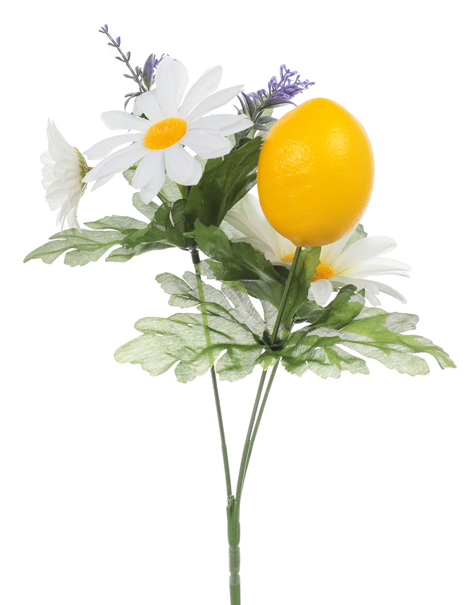 Ramo de daisy