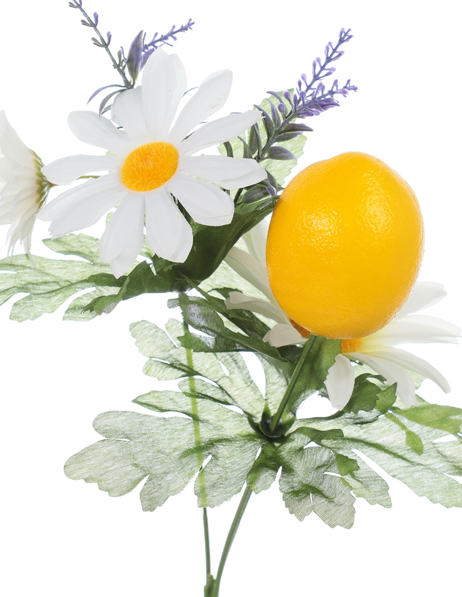 Ramo de daisy