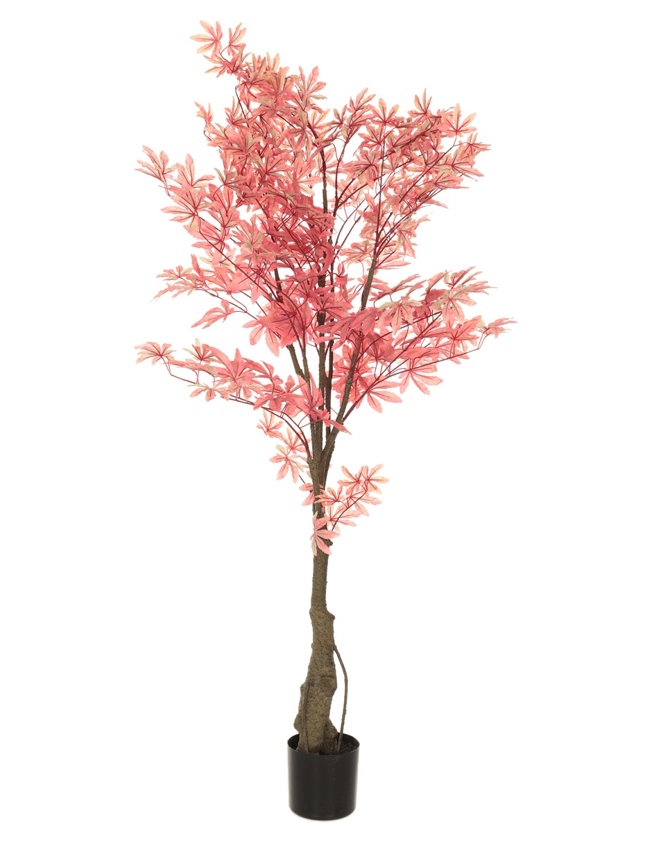 Árbol