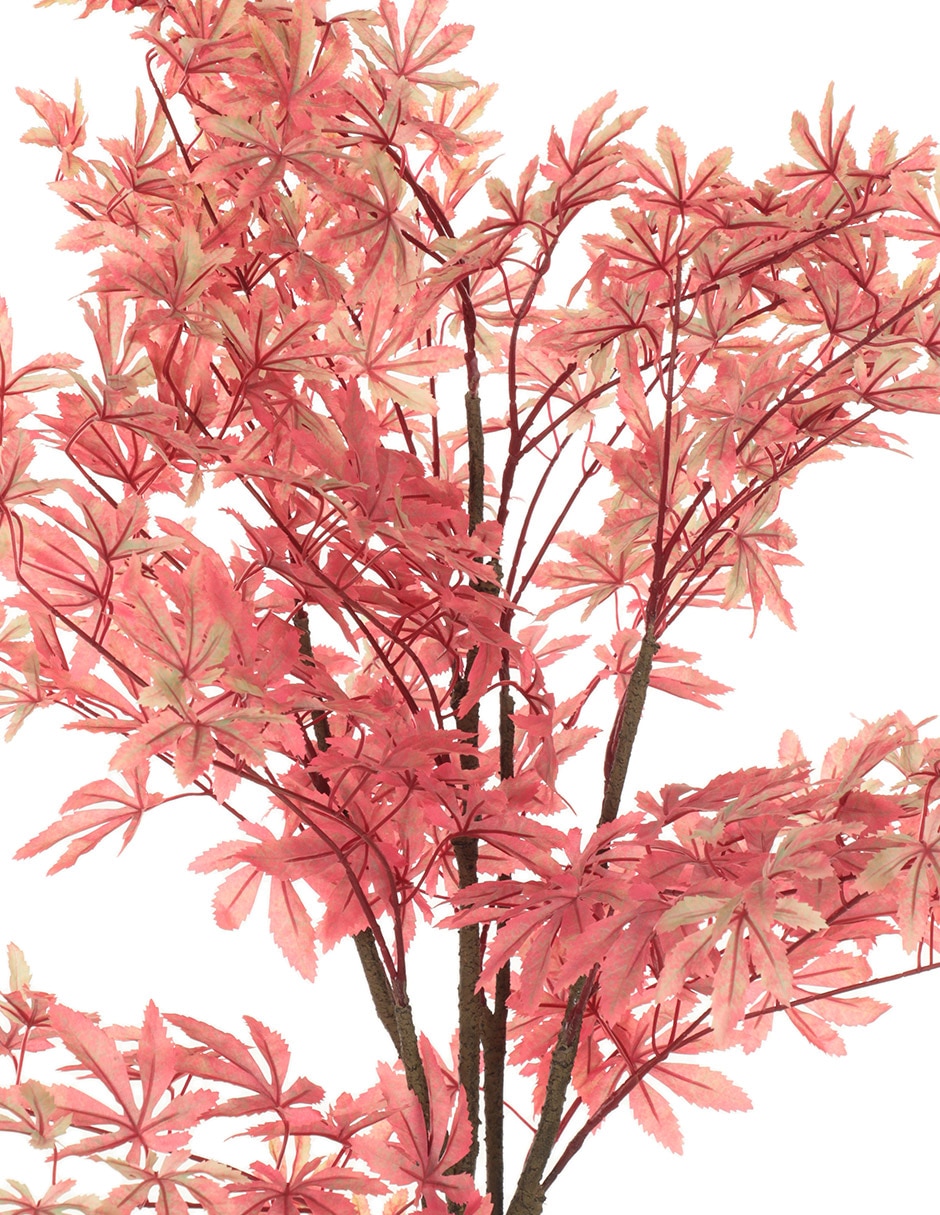 Árbol 2