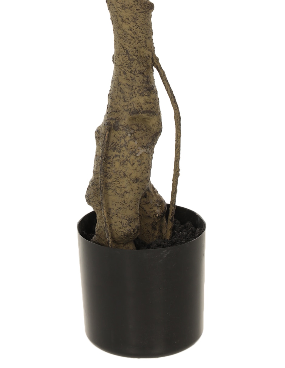 Árbol 3
