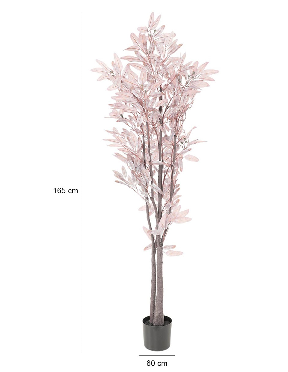 Árbol 4