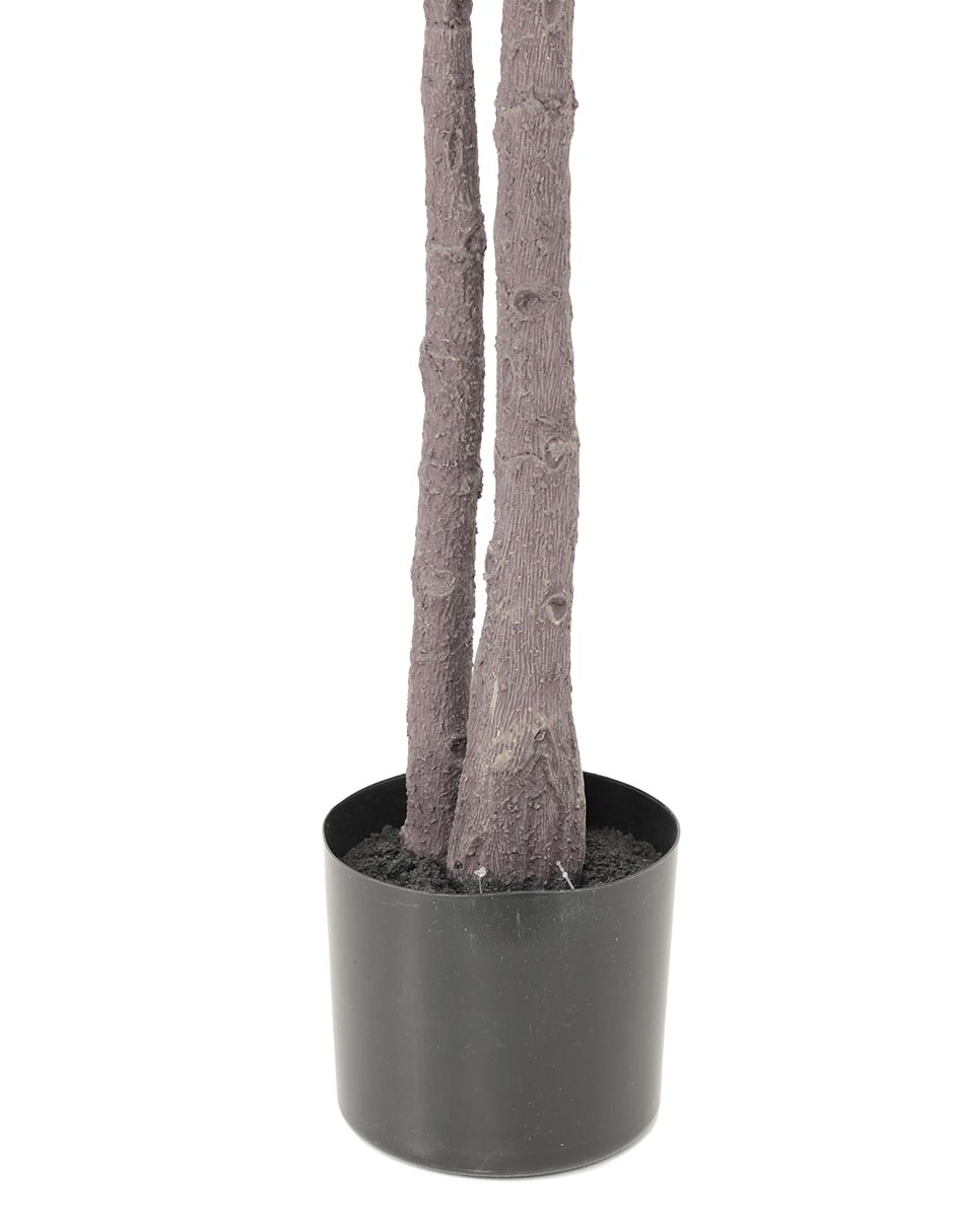 Árbol 3