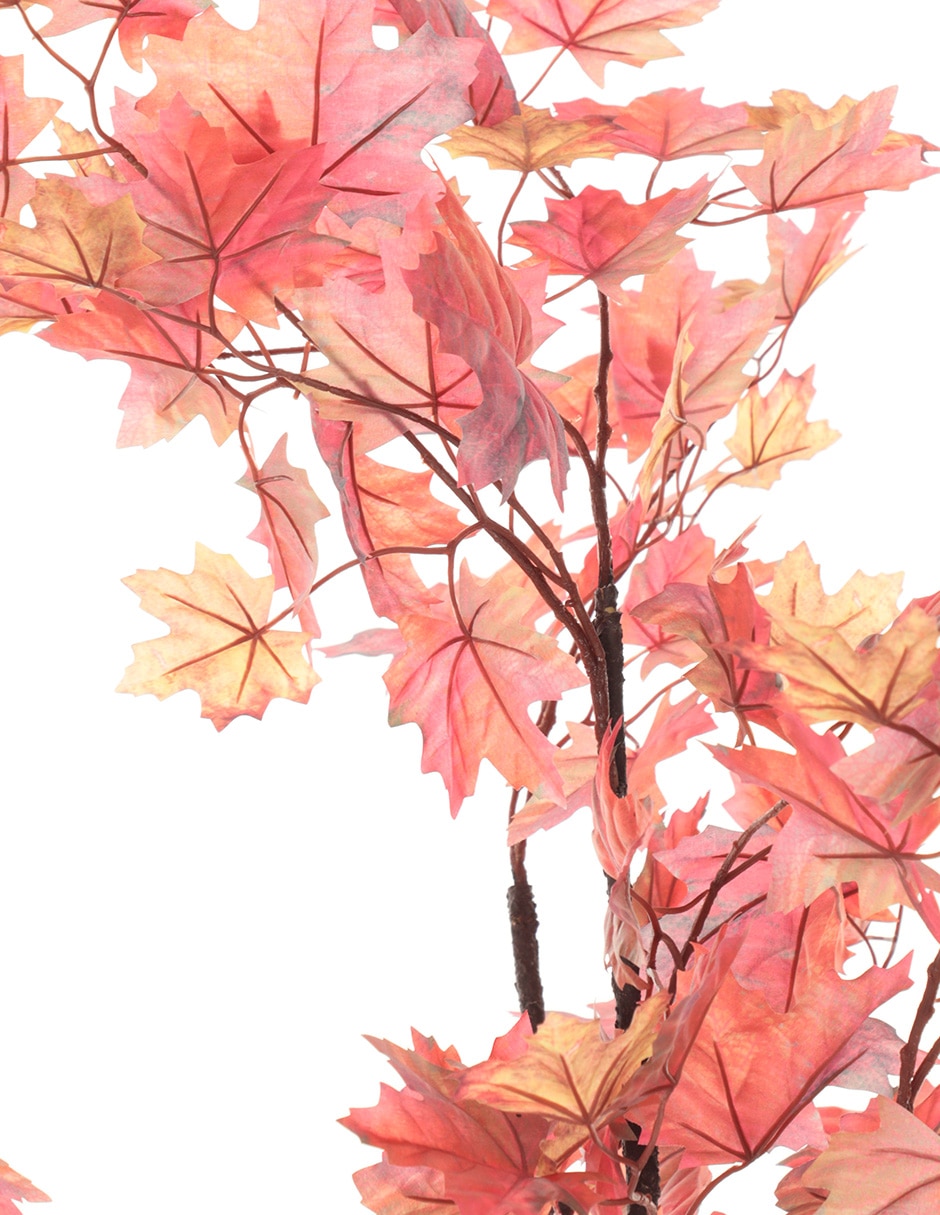 Árbol 2