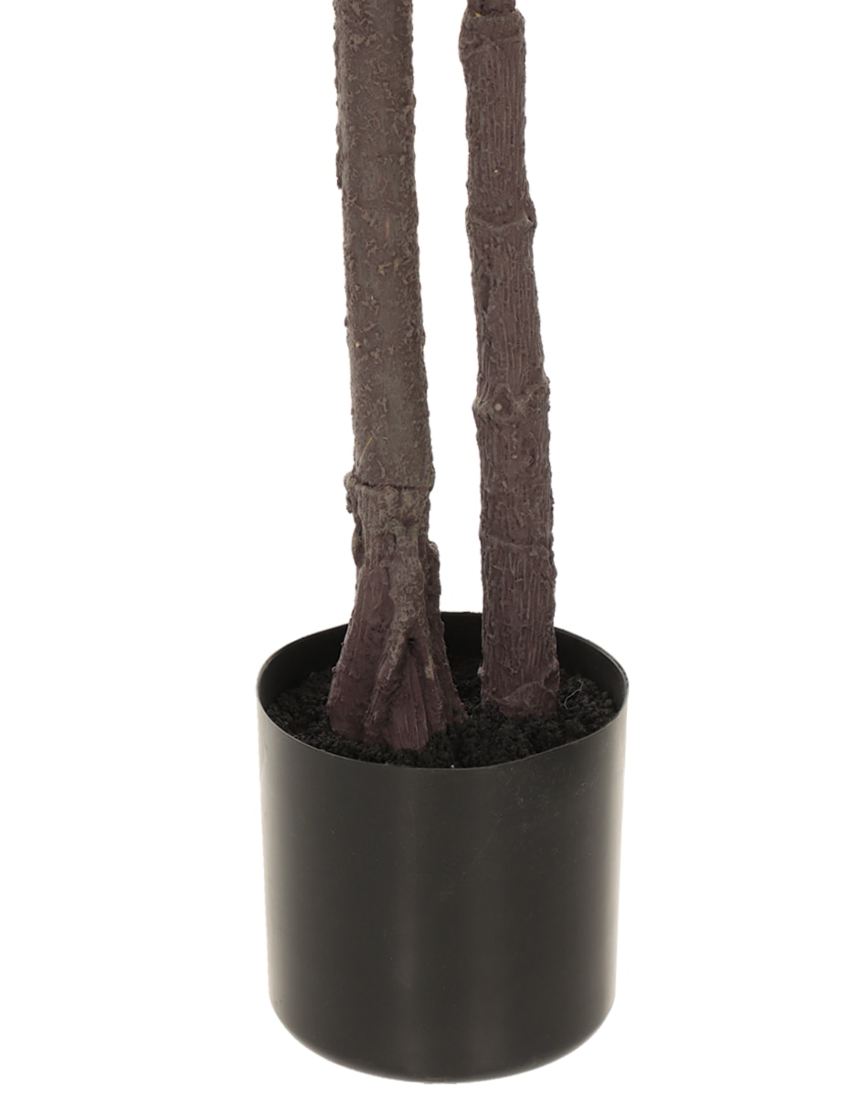 Árbol 3