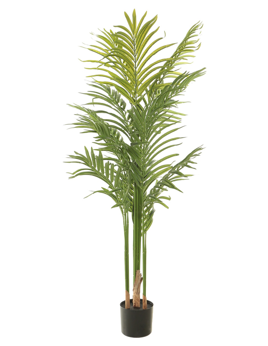 Palmera 135 cm con maceta 1